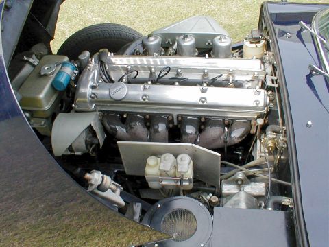 1967 Jaguar XKE - Close-up of a Jaguar engine, identified by the script on the valve cover, likely from a 1967 XKE.