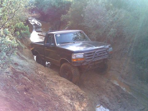 1994 Ford F-150 photo