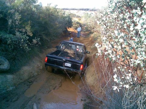 1994 Ford F-150 photo