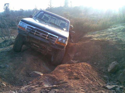 1994 Ford F-150 photo