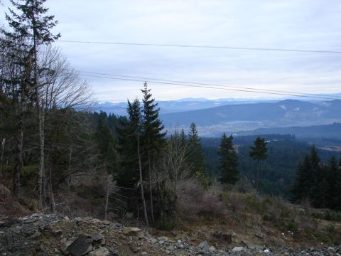 1996 Ford Bronco - View of a valley and distant mountains from a wooded hillside under an overcast sky.