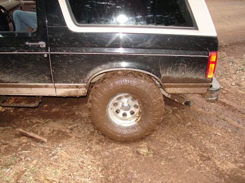 1996 Ford Bronco - Muddy 1996 Ford Bronco on a trail, showing the rear quarter panel and wheel.