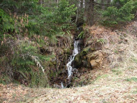 1996 Ford Bronco - A small waterfall flows down a rocky slope surrounded by trees and vegetation.