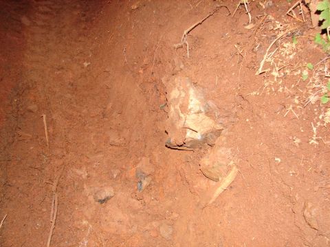 1996 Ford Bronco - The rock that caused the cut. It had a sharp edge and I never saw it sticking out the side of the rut.