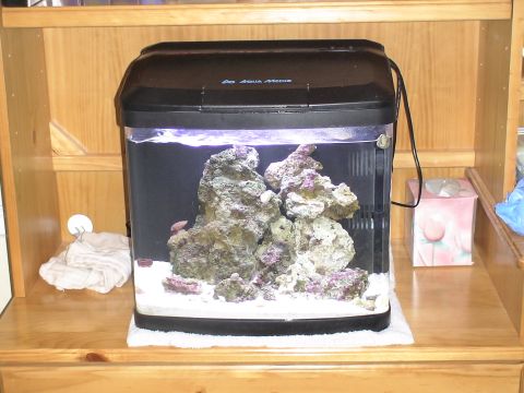 1993 Ford C-350 (Centurion Conversions) - A black Aqua Medic aquarium sits on a wooden surface, containing rocks and white sand.