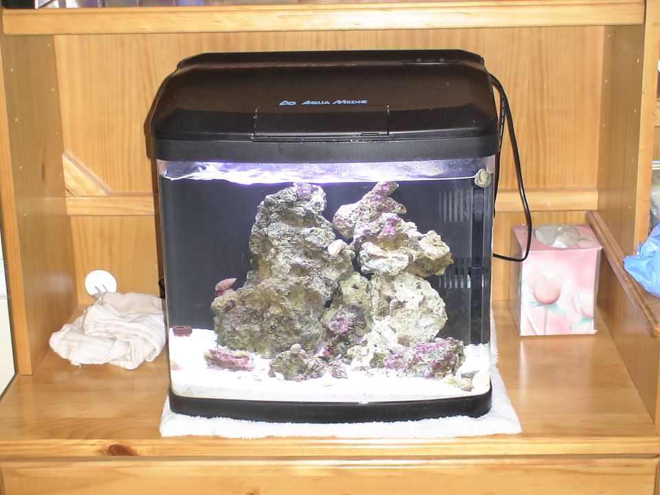 Black aquarium with rocks and sand, Aqua Medic logo visible