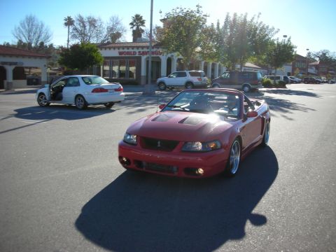 1998 Ford Crown Victoria - red Ford Mustang SVT Cobra convertible with chrome wheels sits in a sunny parking lot outside a World Savings storefront.