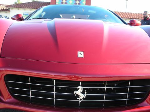 1998 Ford Crown Victoria - Close-up of a red Ferrari's nose showing the chrome prancing-horse grille emblem and hood fender badge.