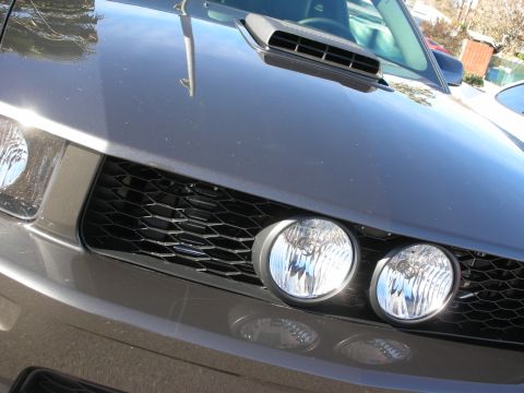 1998 Ford Crown Victoria - Close-up of a gray Mustang's front showing the honeycomb grille and twin round driving lights mounted in it.