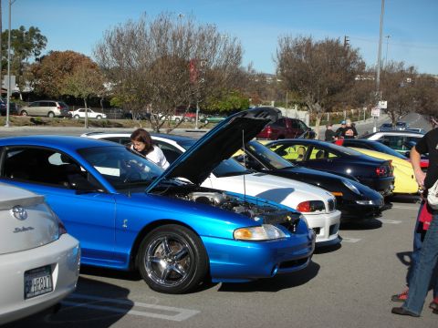 1998 Ford Crown Victoria - blue Ford Mustang Cobra sits with its hood open among rows of show cars and onlookers at an outdoor parking-lot car meet.