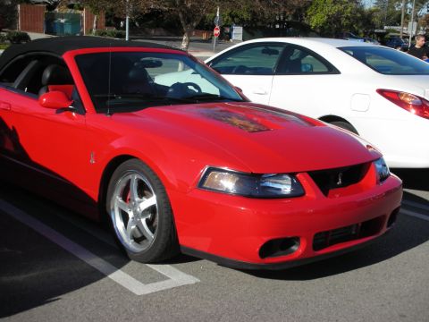 1998 Ford Crown Victoria - red Ford Mustang SVT Cobra convertible with black top shows its front three-quarter and snake badge, parked beside a white car.