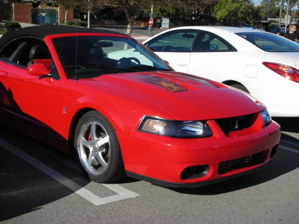 Red Ford Mustang SVT Cobra convertible front three-quarter view at car meet