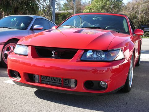1998 Ford Crown Victoria - Front view of a red Ford Mustang SVT Cobra showing its honeycomb grille, snake badge, and a personalized front plate.