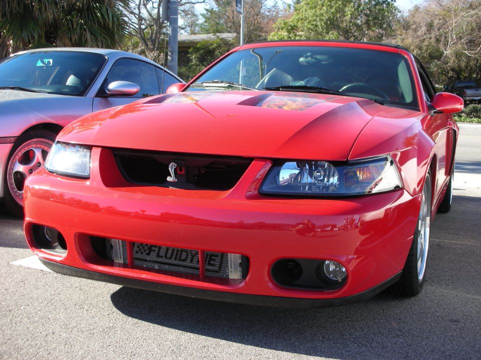 Front end of red Ford Mustang SVT Cobra with Cobra grille badge and front plate