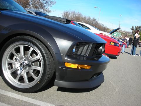 1998 Ford Crown Victoria - Low-angle view down a row of parked Mustangs, led by a charcoal Shelby GT with red and white cars and spectators beyond.