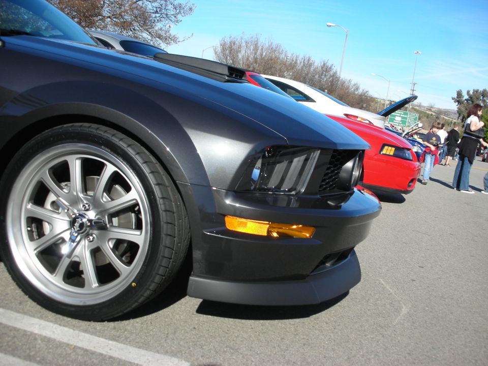 Row of Mustangs at car show led by gray Shelby GT with red and white cars behind