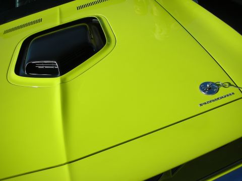 1998 Ford Crown Victoria - Detail of a lime-green Plymouth's hood showing the black shaker-style scoop, chrome hood pin and Plymouth lettering.