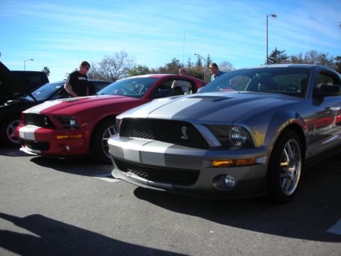 1998 Ford Crown Victoria - silver and a red Shelby Mustang, both with white racing stripes, parked side by side at a car show under blue sky.