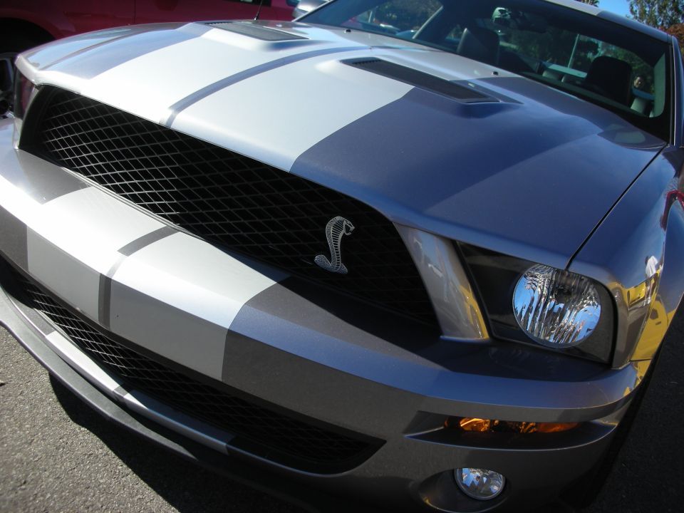 Front of a silver Shelby Mustang with white stripes and cobra grille badge