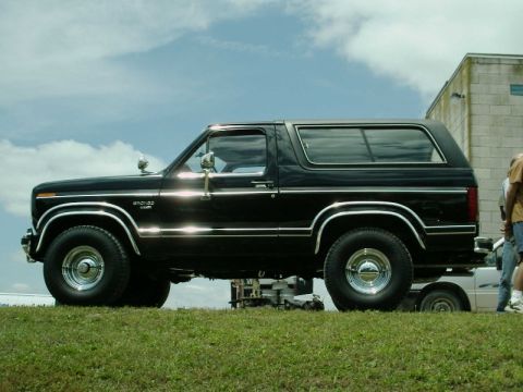 1984 Ford Bronco - Side view of a black Ford Bronco SUV with chrome accents, parked outdoors on a grassy area under a cloudy sky.