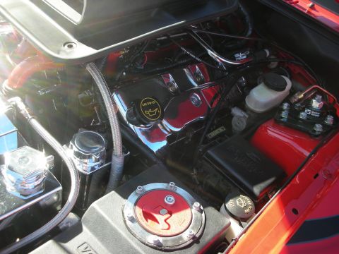 1998 Ford Crown Victoria - Close engine-bay detail of a red car with a chromed valve cover, braided lines and polished components under the hood.