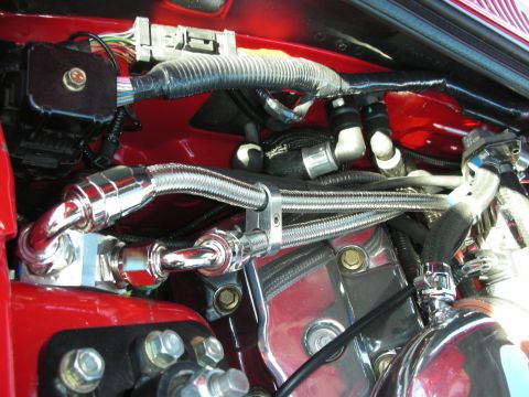 1998 Ford Crown Victoria - Detailed close-up of braided stainless hoses and a chromed valve cover atop a red-painted engine block.
