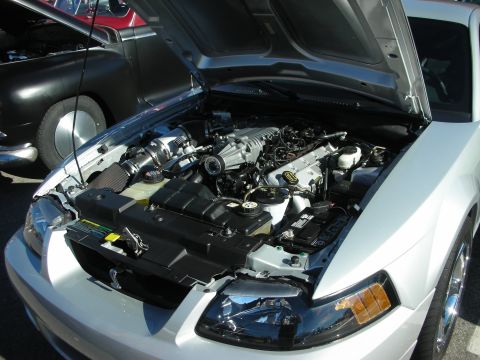 1998 Ford Crown Victoria - engine bay of a silver Mustang with hood up, revealing a supercharged V8 and underhood components.