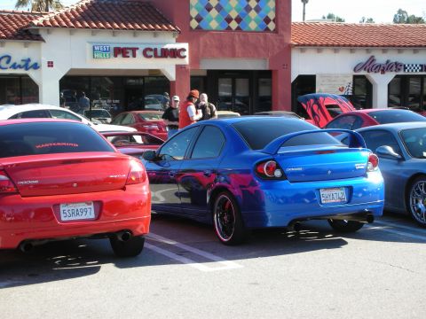 1998 Ford Crown Victoria - red Dodge SRT-4 and a blue tuned Dodge Neon park side by side at a car show in front of a West Hills Pet Clinic strip mall.