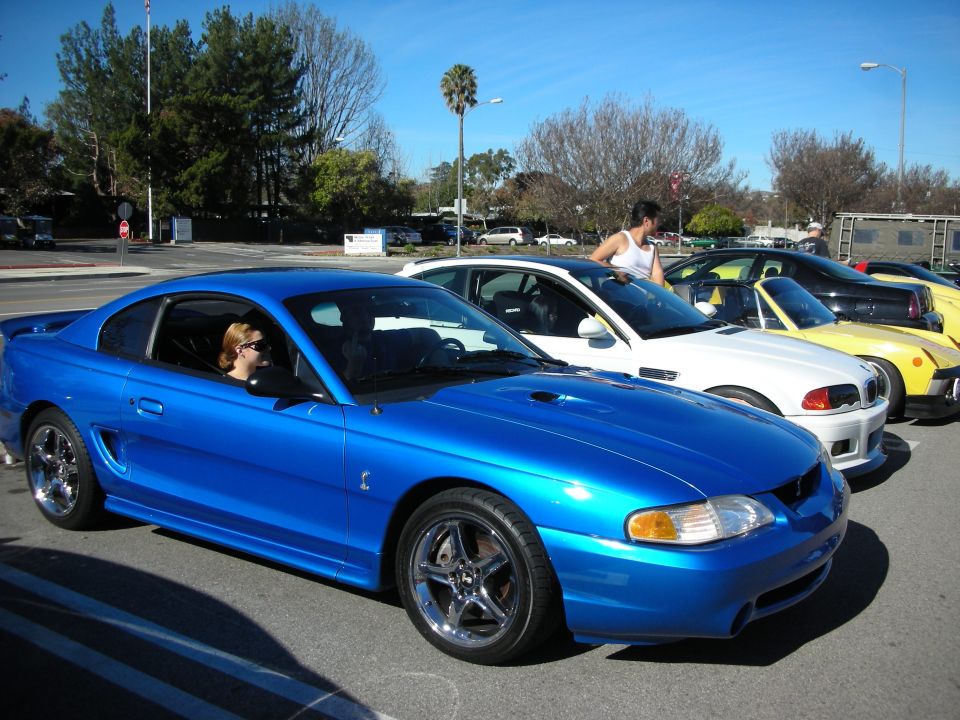 Blue Ford Mustang SVT Cobra coupe parked at an outdoor car show