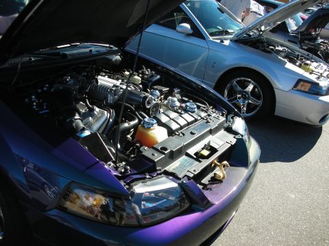 1998 Ford Crown Victoria - open engine bay of a color-shift purple Ford Mustang Cobra reveals a supercharged V8, a silver Cobra parked beside it.