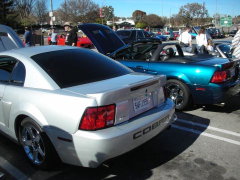 1998 Ford Crown Victoria - silver Ford Mustang Cobra coupe and a teal Cobra park back to back at a car show, COBRA badging visible on the trunk.