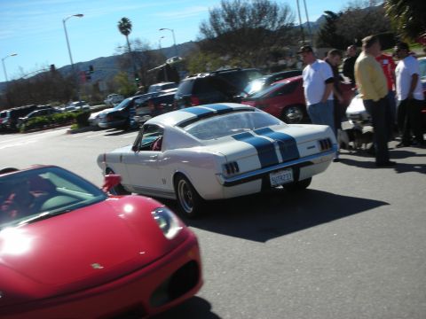 1998 Ford Crown Victoria - white Shelby GT350 Mustang fastback with blue racing stripes drives down a street near a red Ferrari at a car show.