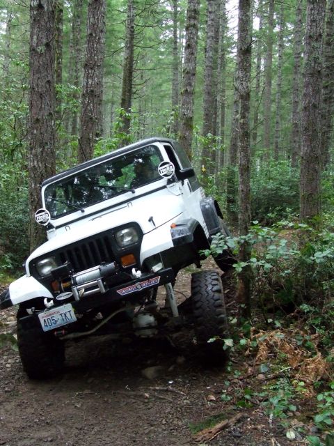 1991 Jeep Wrangler - A white 1991 Jeep Wrangler navigates a wooded trail, its off-road capabilities.