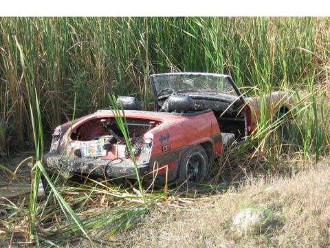1974 Ford F-100 - A red convertible sports car is partially submerged in tall reeds and mud.