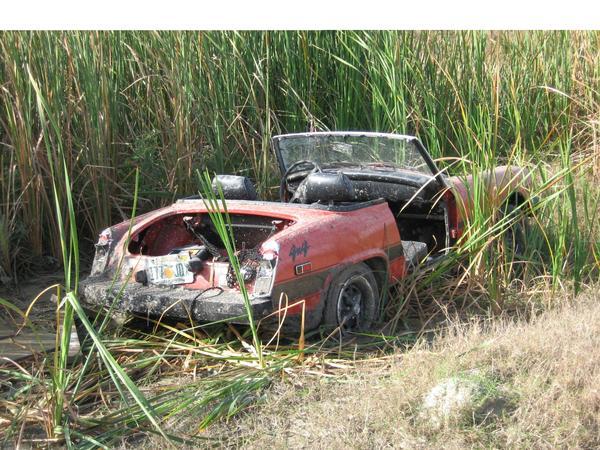 red convertible sports car stuck in tall reeds, front end is visible