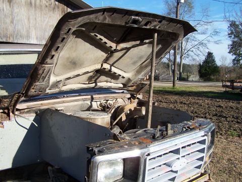 1981 Ford Bronco - The front end of a 1981 Ford Bronco, with its hood propped open, reveals the engine compartment and grille.