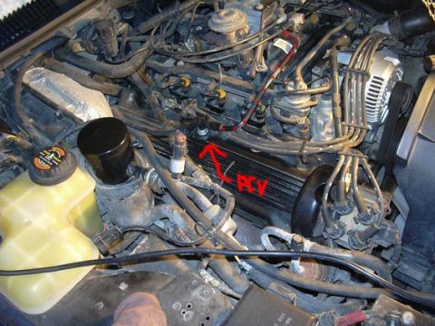 1996 Ford Crown Victoria - Close-up view of an engine bay, highlighting the PCV valve with red markings.
