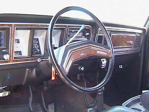 1979 Ford Bronco photo