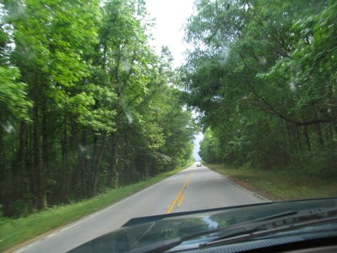 1995 Ford C-350 (Centurion Conversions) - Driving down a two-lane road surrounded by lush green trees.