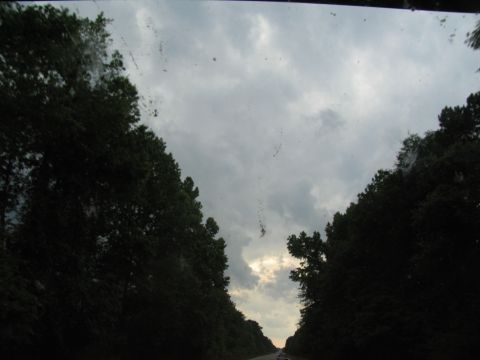 1995 Ford C-350 (Centurion Conversions) - A view from inside a vehicle shows a road ahead bordered by trees under a cloudy sky.