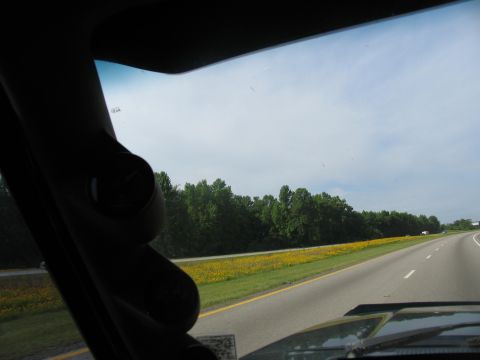 1978 Ford Bronco - View from inside a vehicle looking out at a highway bordered by trees and a field of yellow flowers under a cloudy sky.