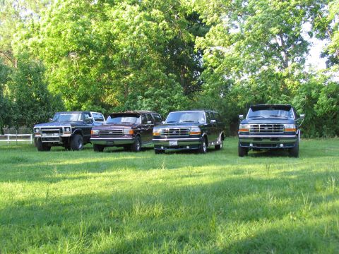 1995 Ford C-350 (Centurion Conversions) - A lineup of four vans sits parked on a sun-dappled lawn, with a dense line of trees forming the backdrop.