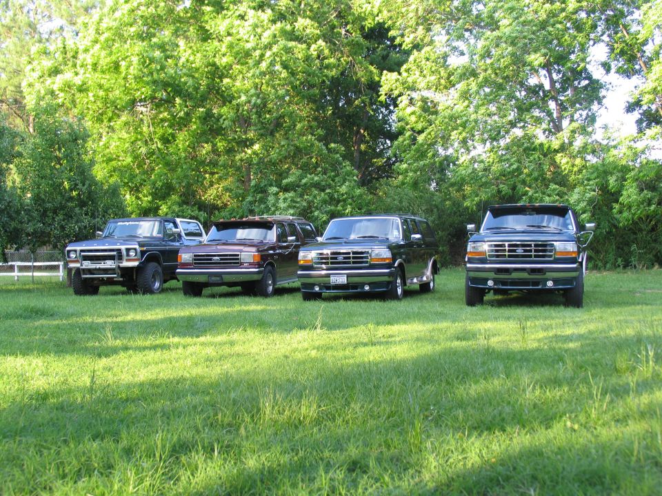 Four vans parked in a grassy field with trees in the background. The vans appear to be from the mid-1990s