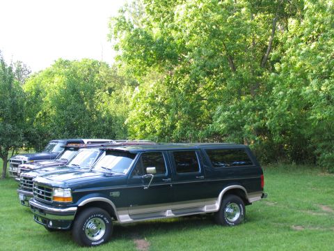 1995 Ford C-350 (Centurion Conversions) - A line of Centurion conversion vans are parked on a grassy lawn with trees in the background.