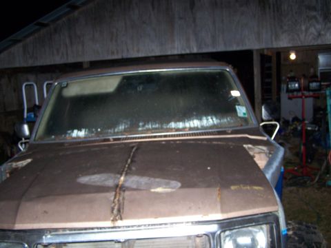 1981 Ford Bronco - The front end of a weathered pickup truck is visible, parked under a covered structure.