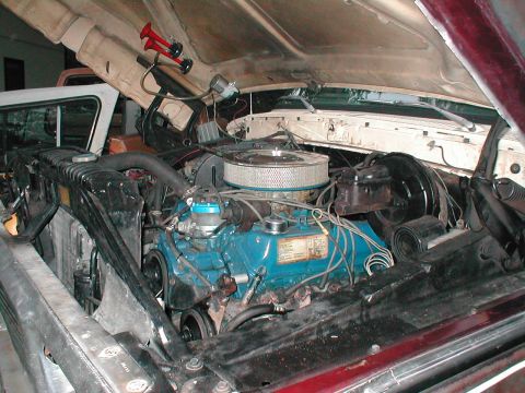 1979 Ford Bronco - i havent had an air cleaner since the 351W had a 2bbl, but i picked this up for $2 at the tranny shop