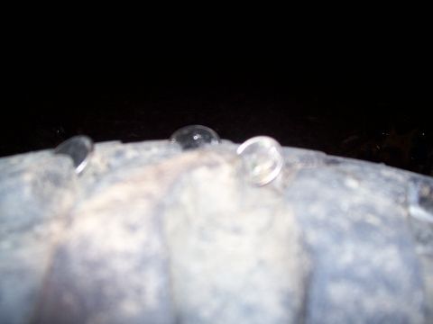 1985 Ford Bronco - A close-up view of tire tread with water droplets, showing the Supermotors logo at the bottom right.