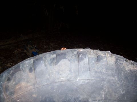 1985 Ford Bronco - Coins are balanced on the tread of a large tire in this close-up shot.