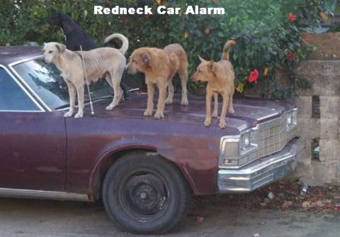 1979 Ford Bronco - i already have 2, i wonder if 3 are really needed...