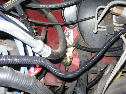 1996 Ford Bronco - Various engine components and wiring are visible in this close-up engine bay shot.
